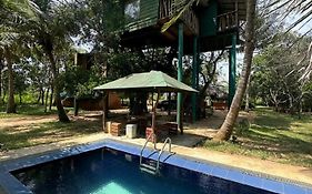 Yala Eco Tree House New
