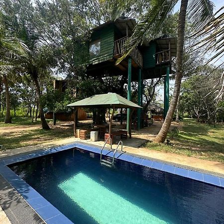 Yala Eco Tree House New Hotel Tissamaharama Exterior photo