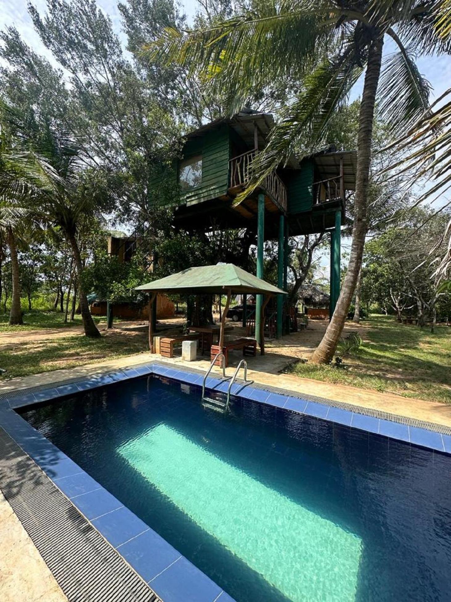 Yala Eco Tree House New Hotel Tissamaharama Exterior photo