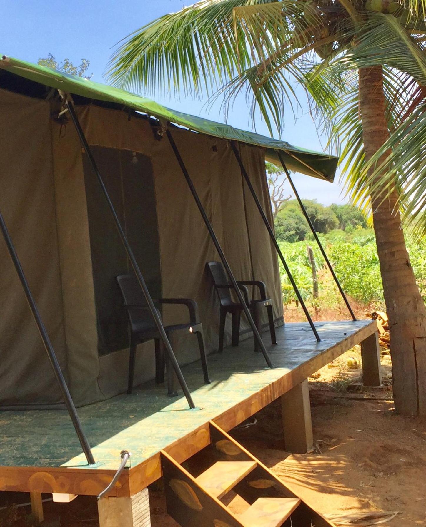 Yala Eco Tree House New Hotel Tissamaharama Exterior photo