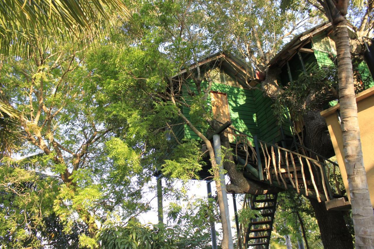 Yala Eco Tree House New Hotel Tissamaharama Exterior photo