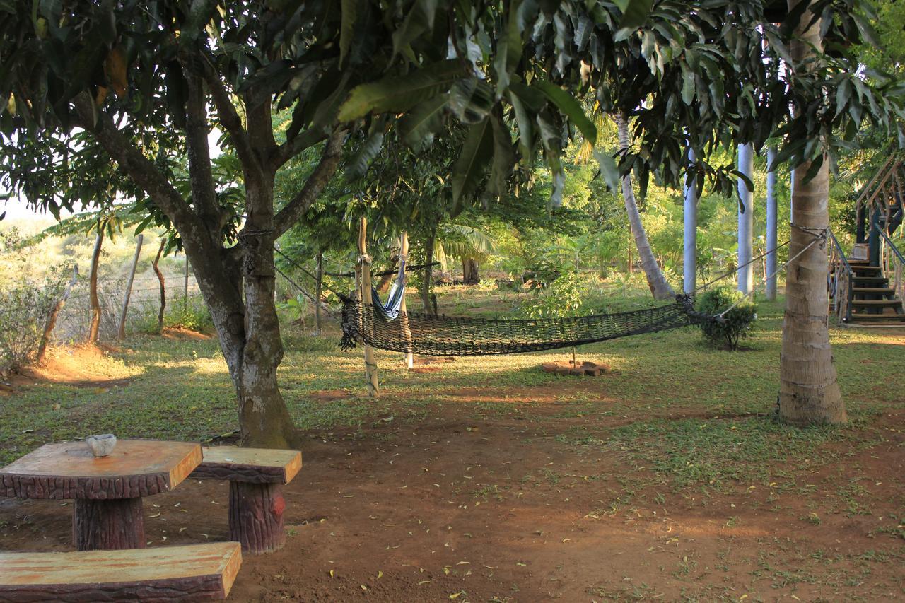 Yala Eco Tree House New Hotel Tissamaharama Exterior photo