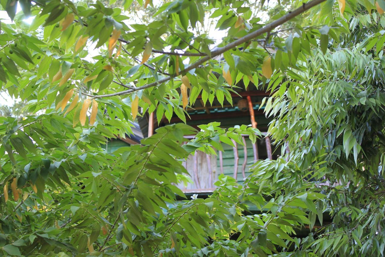 Yala Eco Tree House New Hotel Tissamaharama Exterior photo
