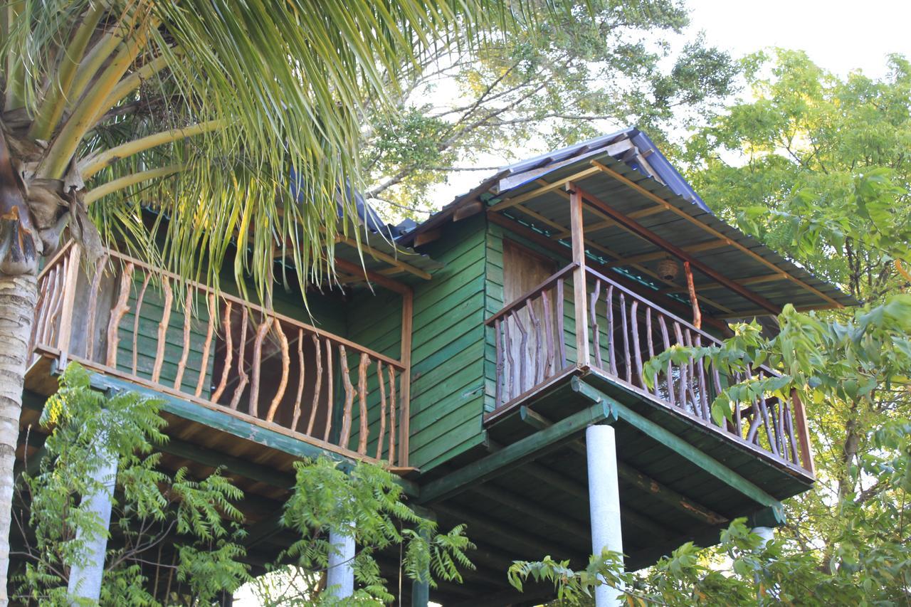 Yala Eco Tree House New Hotel Tissamaharama Exterior photo