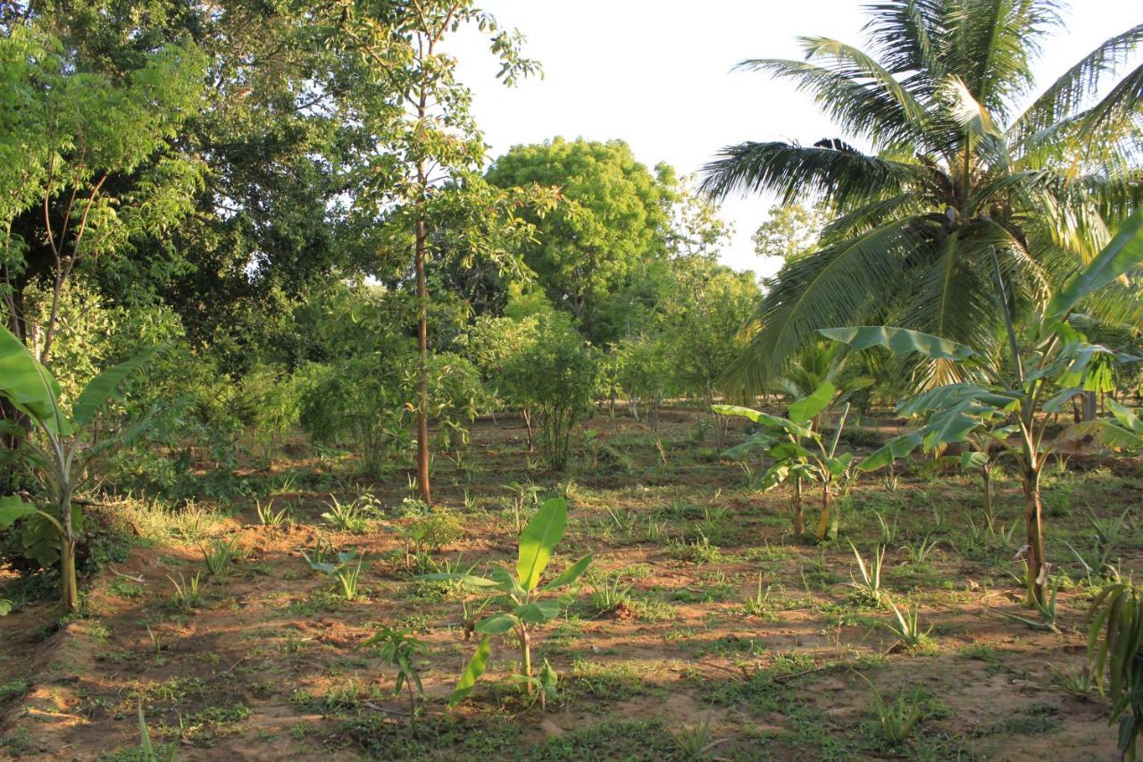 Yala Eco Tree House New Hotel Tissamaharama Exterior photo