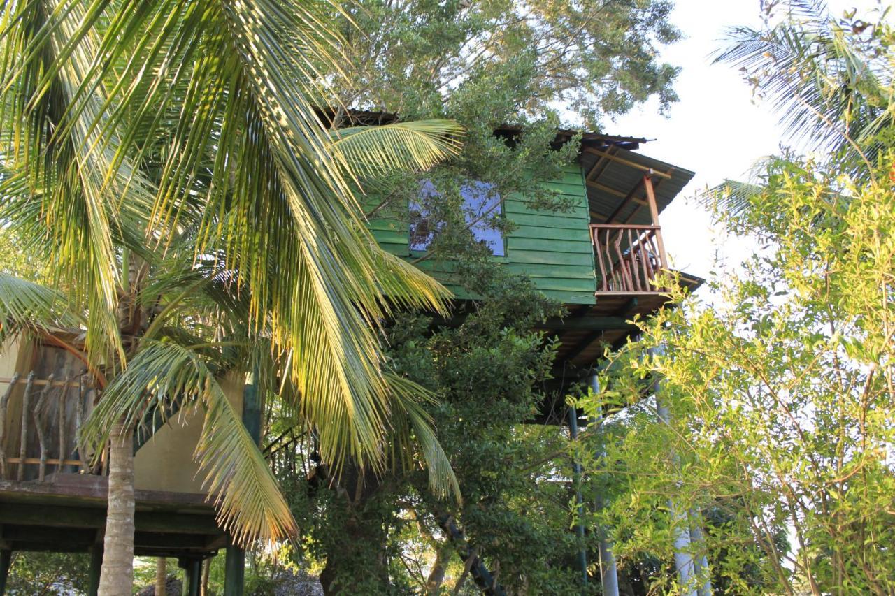 Yala Eco Tree House New Hotel Tissamaharama Exterior photo
