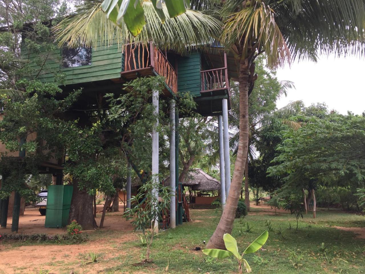 Yala Eco Tree House New Hotel Tissamaharama Exterior photo