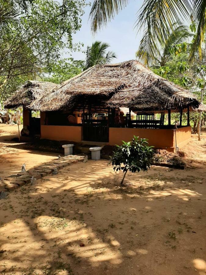 Yala Eco Tree House New Hotel Tissamaharama Exterior photo