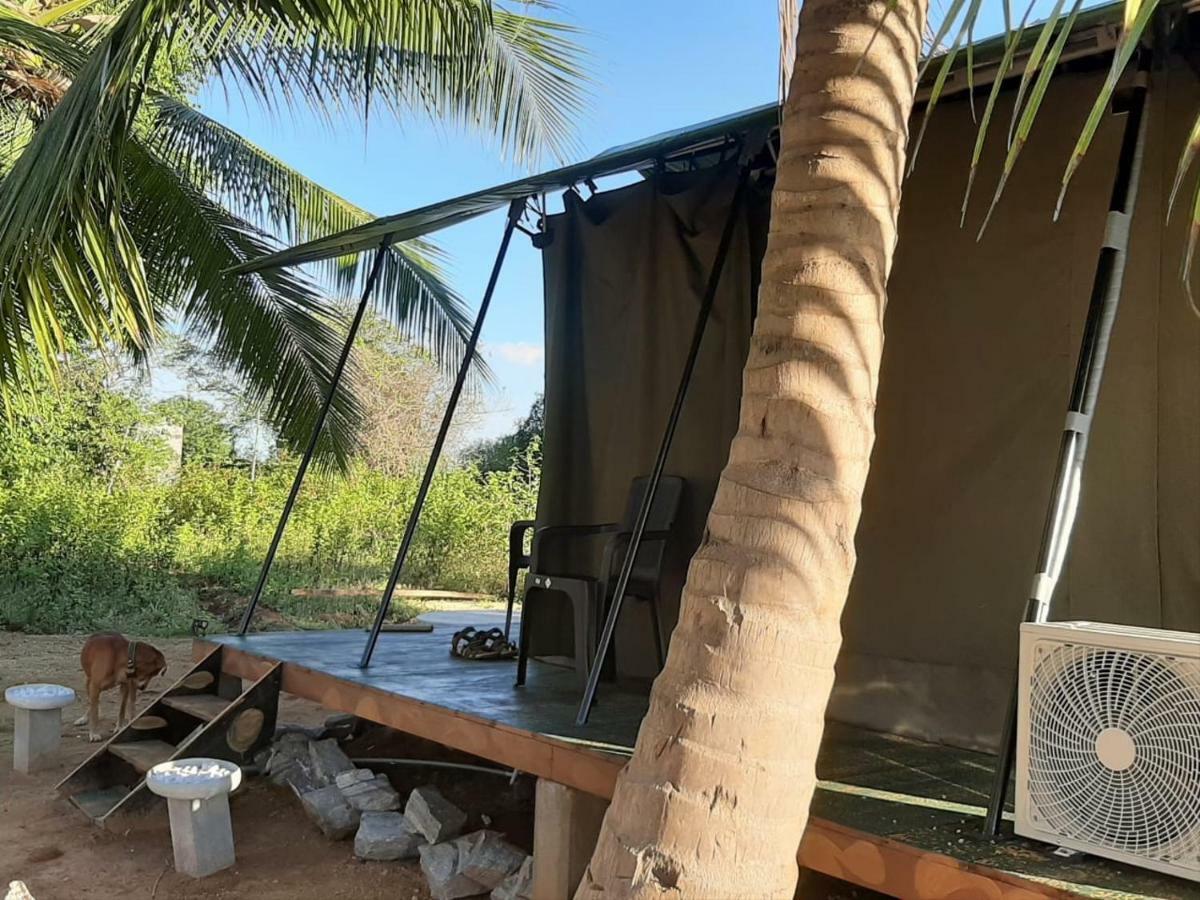 Yala Eco Tree House New Hotel Tissamaharama Exterior photo