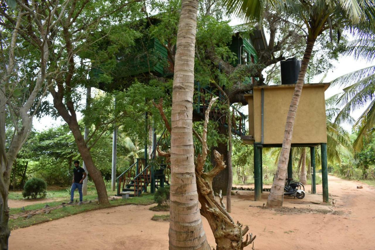 Yala Eco Tree House New Hotel Tissamaharama Exterior photo